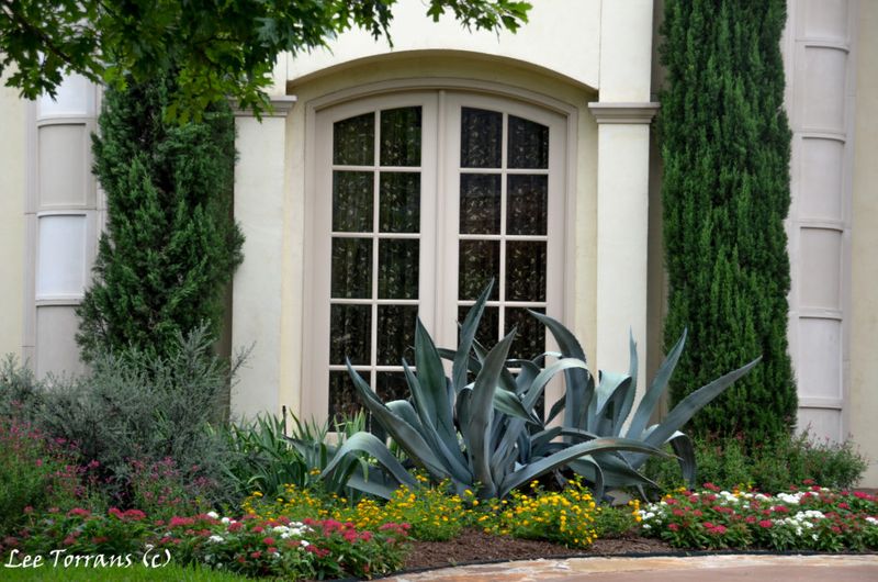 11 Texas Ranch Entryway Ideas That Should Inspire Your Next Renovation - Decor Hint Native Plant Décor