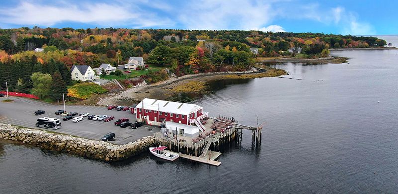 11 Maine Lobster Roll Stands Worth The Detour - Decor Hint Young's Lobster Pound In Belfast