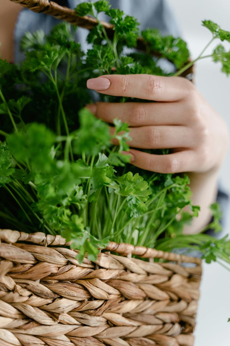 8 French-Inspired Kitchen Details That Can Add Timeless Charm - Decor Hint Market Baskets And Natural Elements