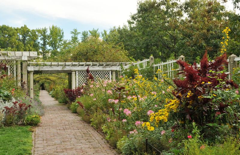 16 Garden Paths In Washington That Capture Park-Like Beauty - Decor Hint Heritage Rose Walk