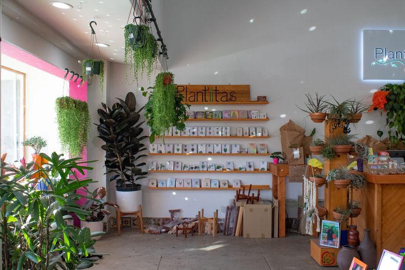 Plantiitas in Long Beach