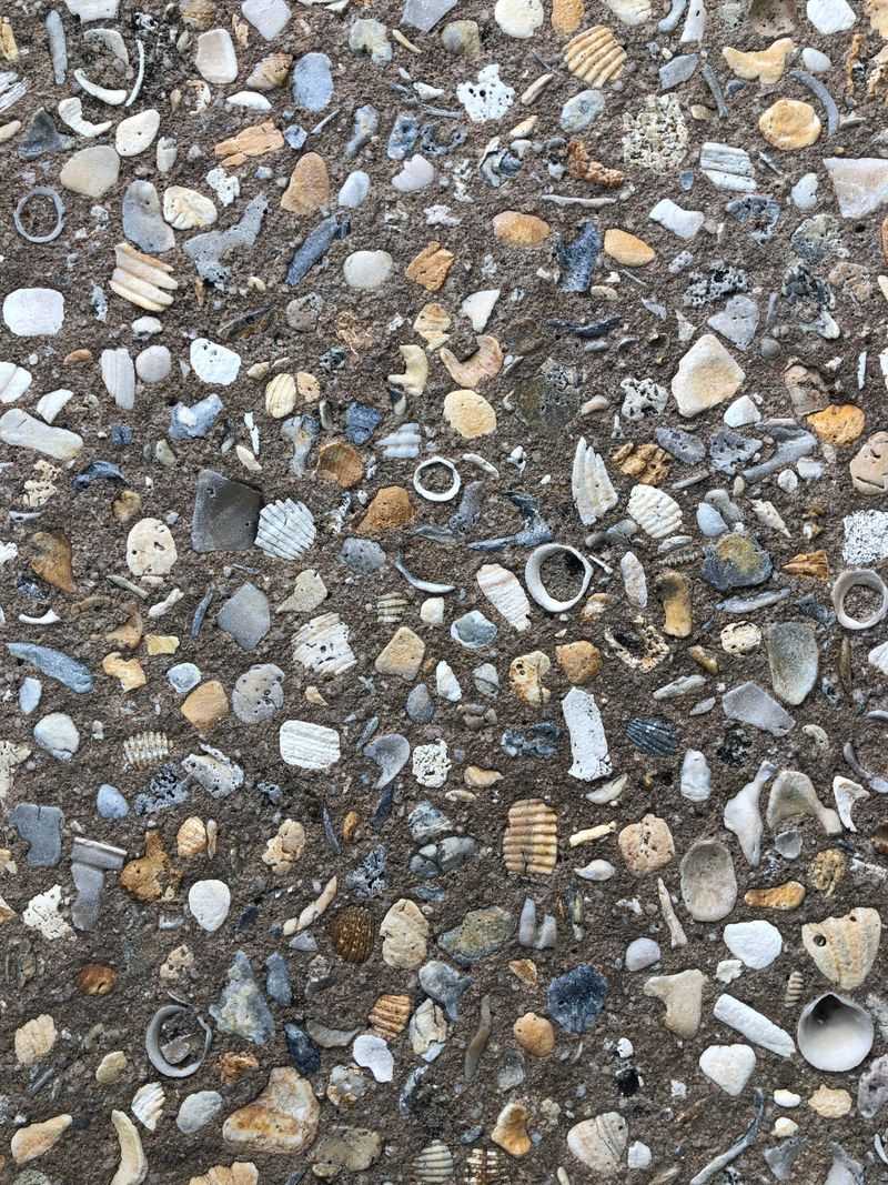 22 Florida Home Design Trends That Are Mega-Popular For Weird Reasons - Decor Hint Shell-Embedded Driveways