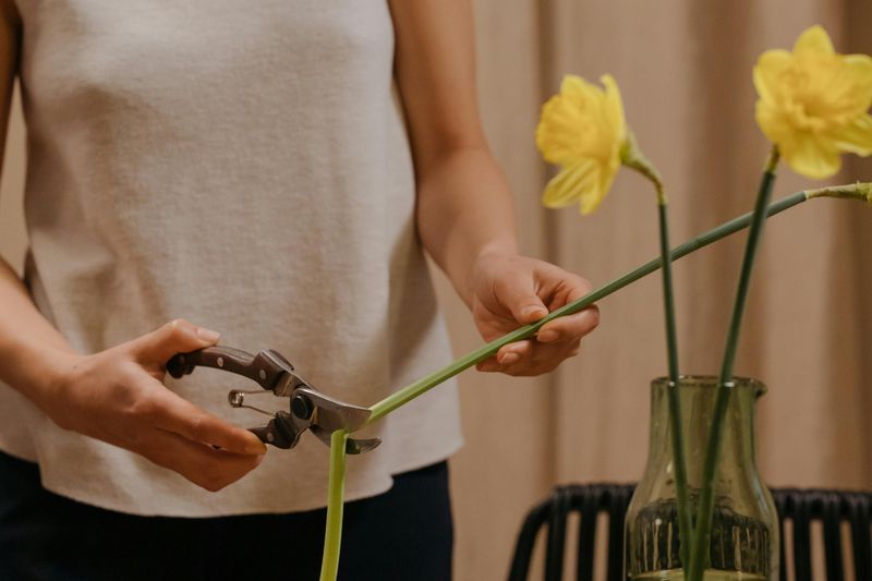 How Using Yellow Can Refresh Your Home Décor In 2026 - Decor Hint Botanical Yellows In Indoor Gardens