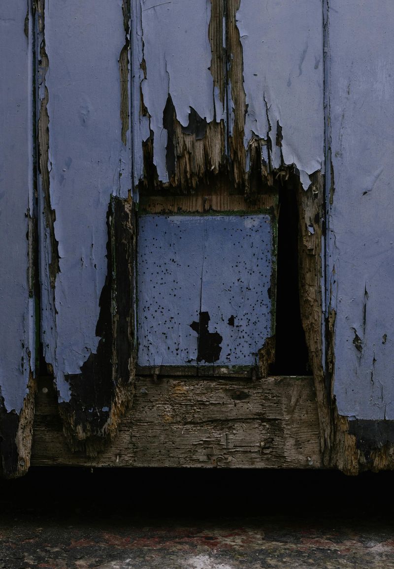 Avoid These 8 Home Features That Can Lead To Long-Term Damage - Decor Hint Exterior Wood Siding Without Proper Treatment