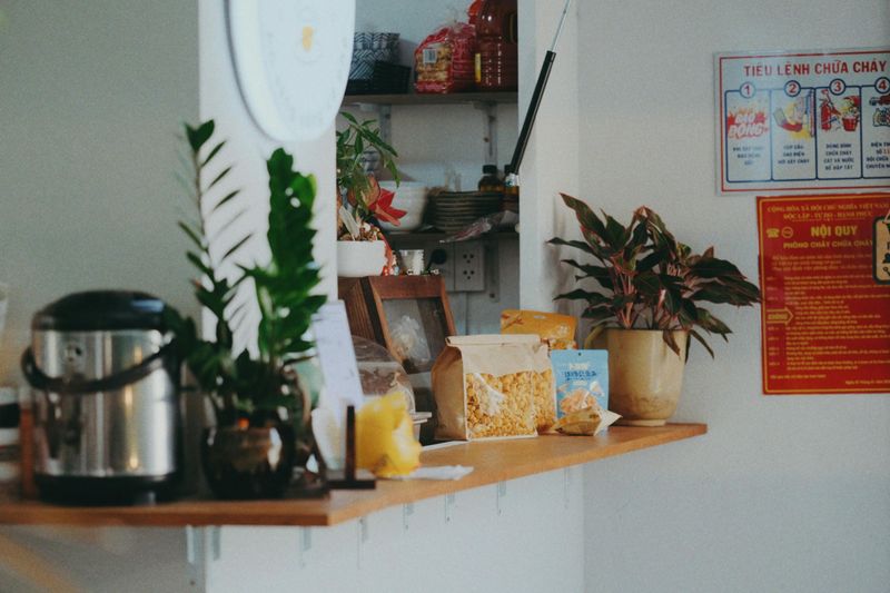 13 Small Tweaks That Instantly Make A Rental Kitchen Cozier - Decor Hint Place a small plant or succulent on the counter