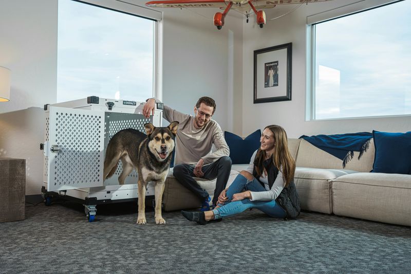 12 Household Rules That Should Have Gone Away Decades Ago - Decor Hint No Pets Indoors