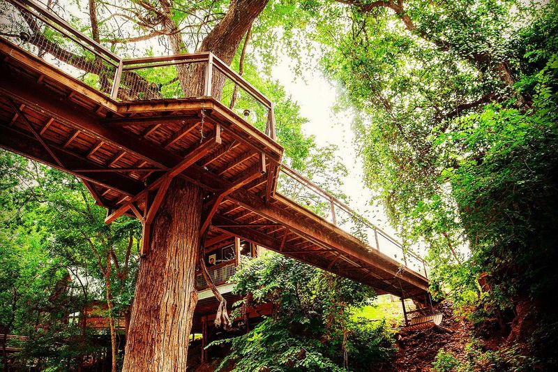 10 Texas Cabins That Prove Rustic Doesn't Mean Rough - Decor Hint Guadalupe River Treehouse