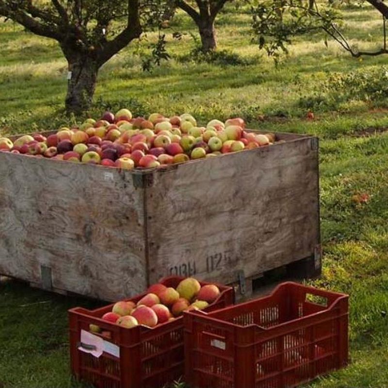 Adams County Apple Country Hideaway