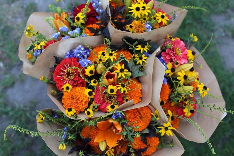 5 Georgia Floral Trends To Try And 3 Styling Habits To Avoid - Decor Hint Wildflower Meadow Inspirations