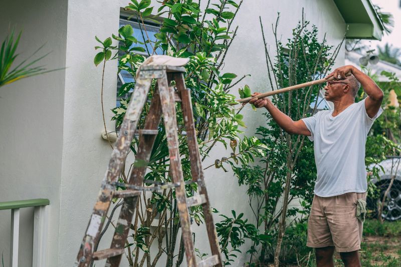 Build A Simple Trellis