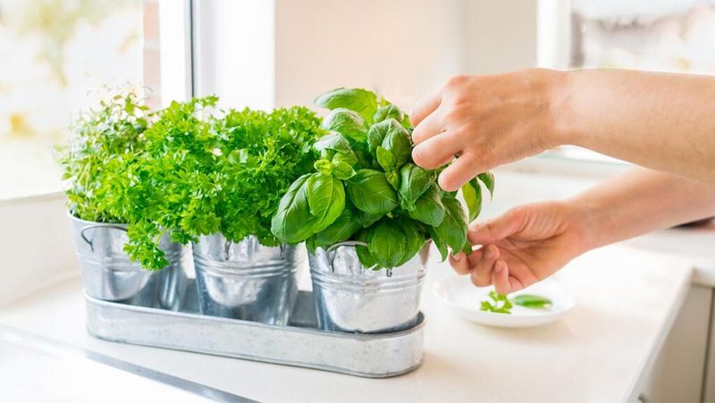 16 Alabama Kitchen Ideas That Taste Like Home - Decor Hint Porch-To-Table Herb Garden