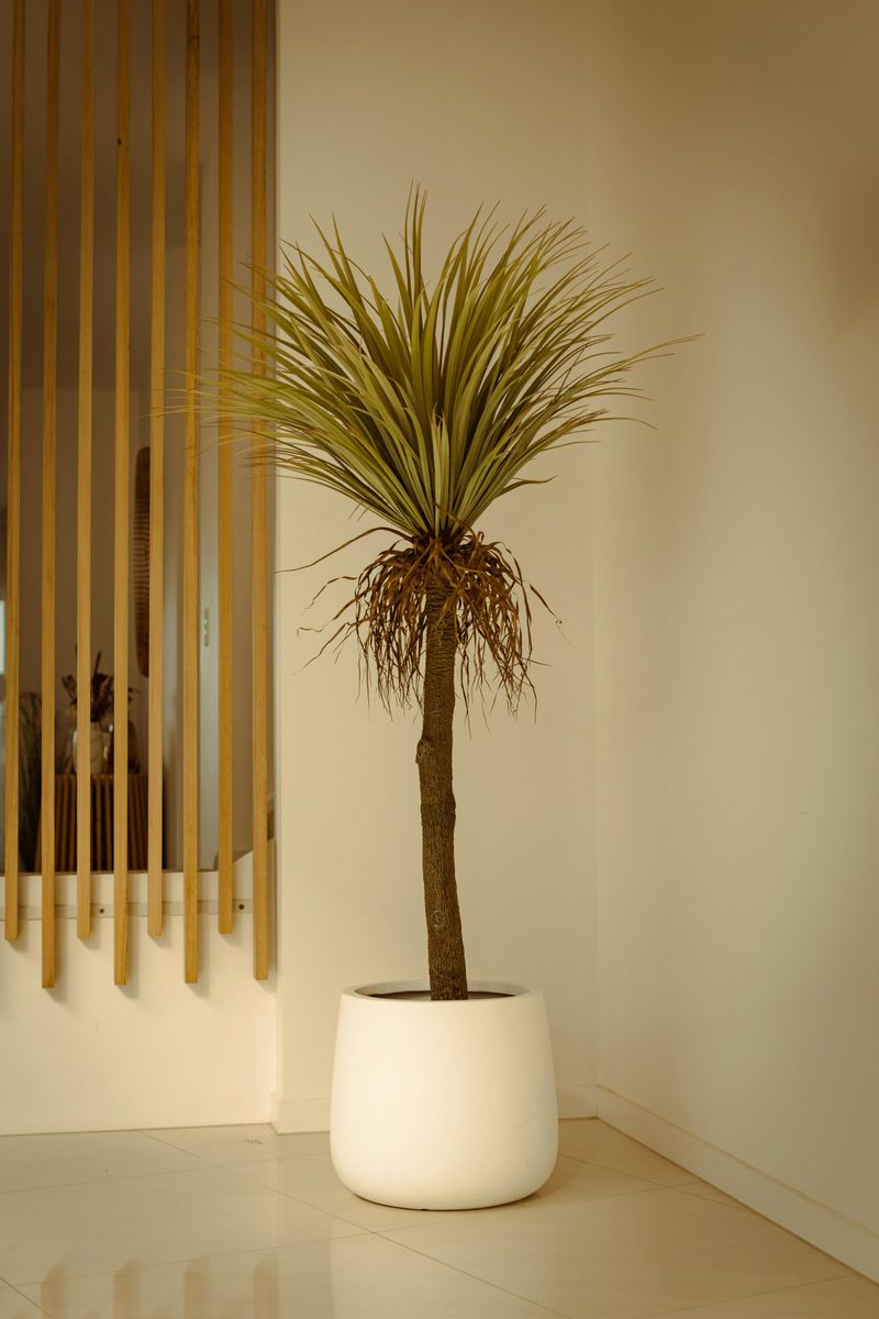 Indoor Plants That Thrive Locally