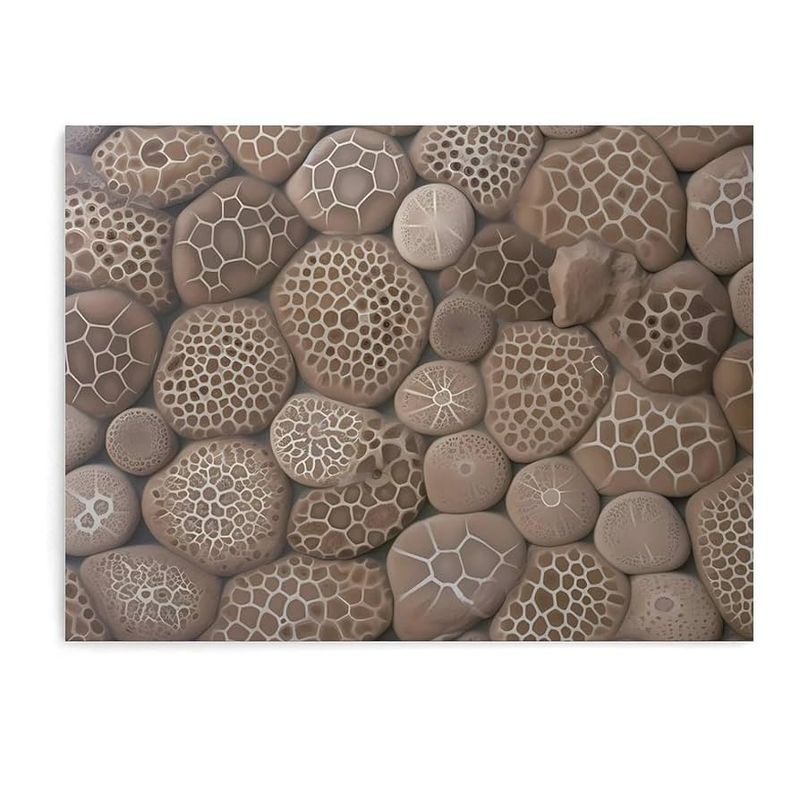 11 Wallpaper Prints In Michigan That Feel Like The Good Old Days - Decor Hint Petoskey Stone Patterns