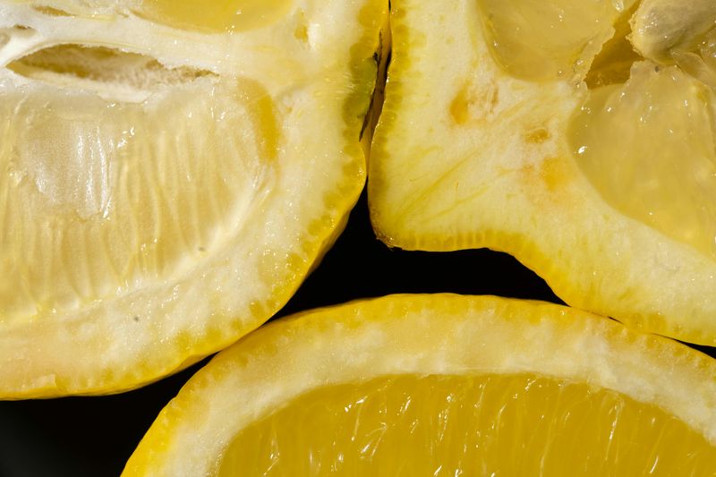 Practical Ways To Clean Your Home With Lemon Peels - Decor Hint Garbage Disposal Freshener