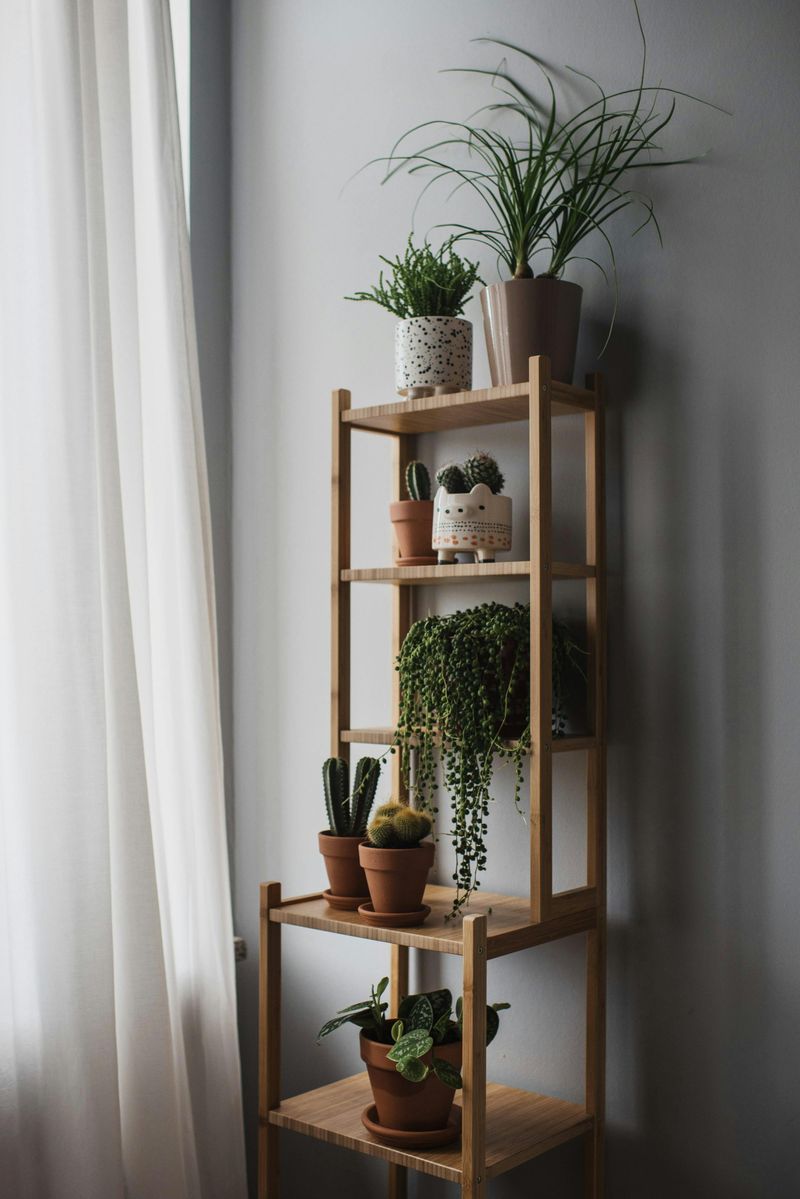 9 Small Decor Items That Make A Big Difference - Decor Hint Small Potted Plants: Living Breath-Givers