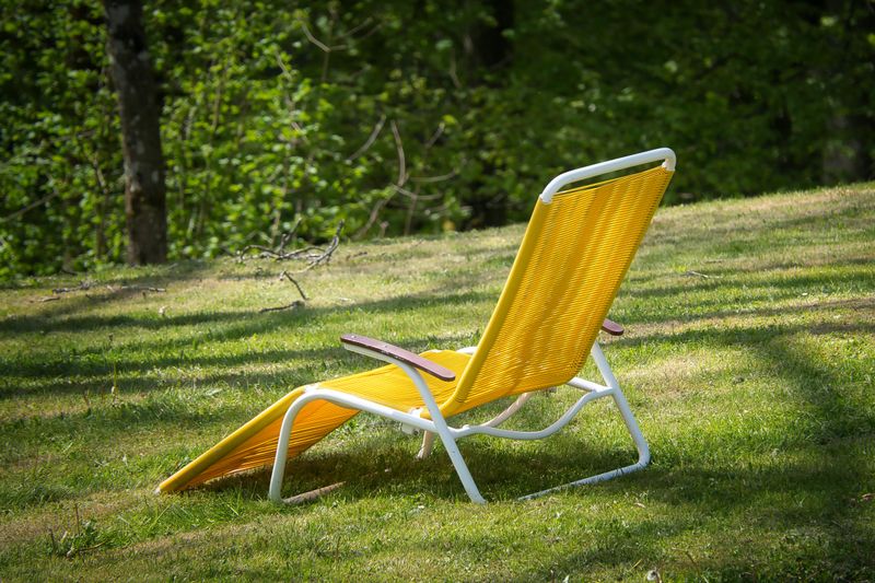 Why Overseeding In Late Summer Can Improve Lawn Health - Decor Hint Fills Bare Spots Before Winter Stress