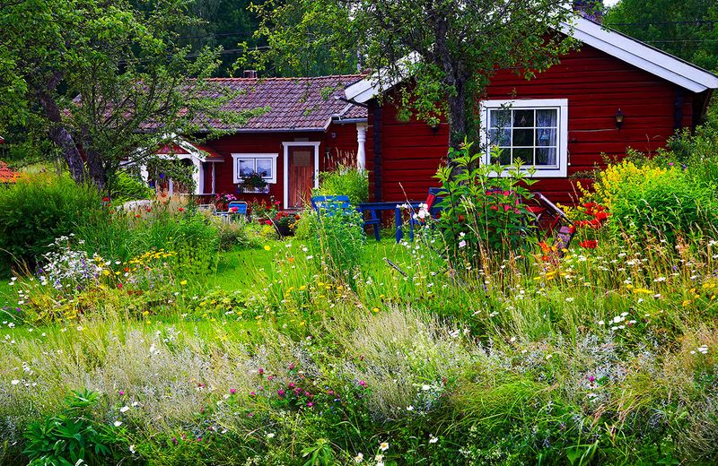 9 Picture-Perfect Colorado Mountain Cottages With Storybook Appeal - Decor Hint Moonlight Meadow Cottage in Crested Butte