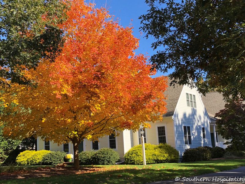 14 Cape Homes In Massachusetts With Sweet, Simple Curb Appeal - Decor Hint Concord Literary Legacy