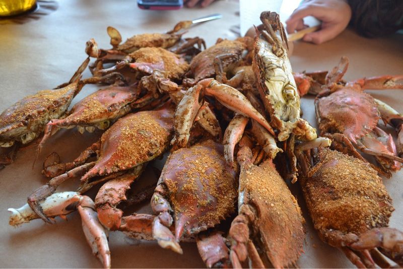 12 Maryland Crab Houses Full Of Summer Flavor - Decor Hint Cantler's Riverside Inn: Annapolis' Hidden Gem