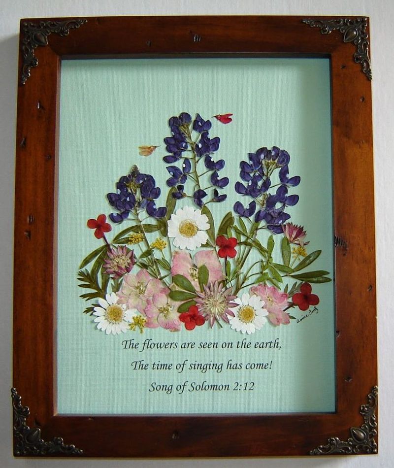 11 Texas Wall Art Pieces That Actually Feel Like Family Heirlooms - Decor Hint Pressed Wildflower Botanical Collections