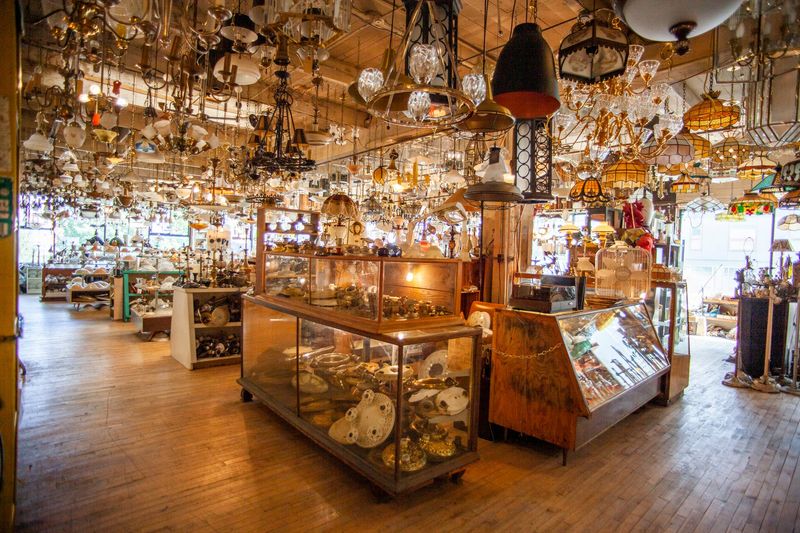 Hippo Hardware & Trading Company