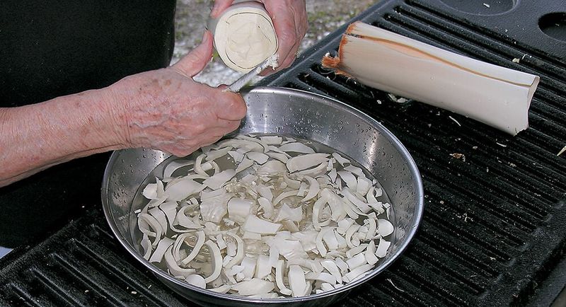 10 Throwback Florida Dishes From The '80s Everyone Remembers - Decor Hint Swamp Cabbage (Hearts of Palm Stew)