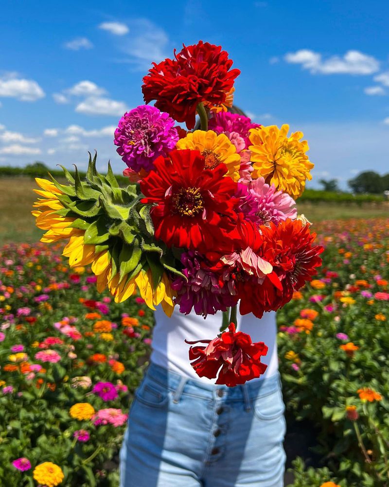 5 Georgia Floral Trends To Try And 3 Styling Habits To Avoid - Decor Hint Ignoring Seasonal Availability