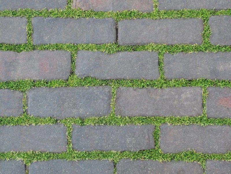 11 Arizona Patio Trends You'll Want To Skip This Year - Decor Hint Dark-Colored Pavers