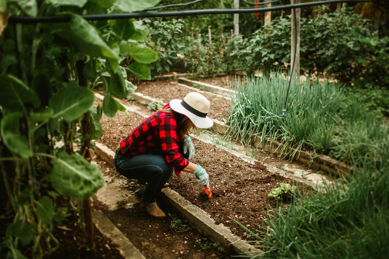 16 Common Garden Mistakes You Can Avoid Or Fix - Decor Hint Planting Too Deep