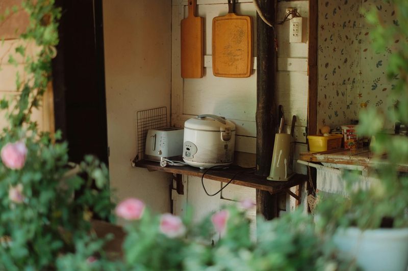 Showcase Small Appliances
