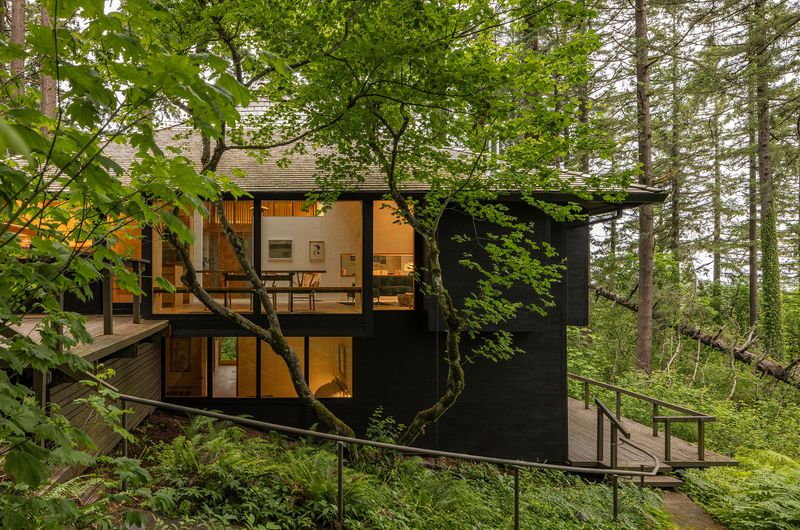 Berkeley Hills Treehouse
