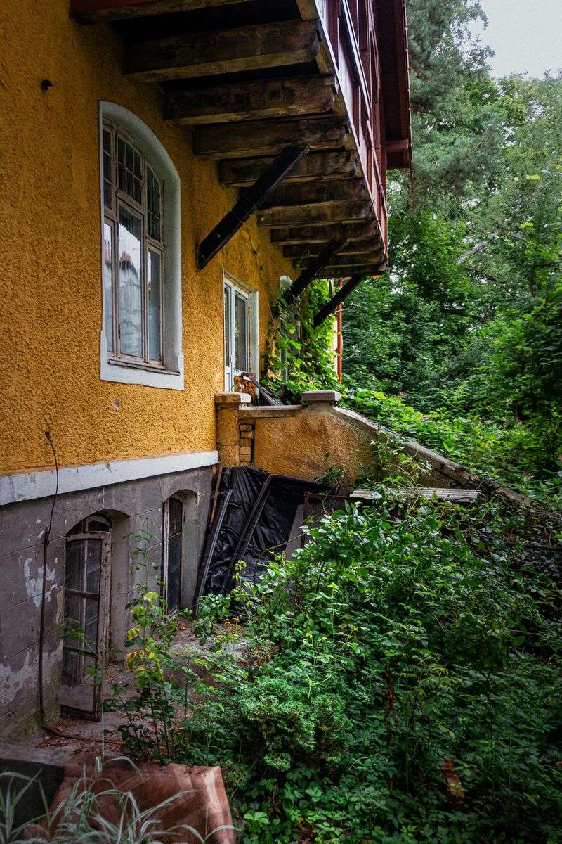 12 Backyard Mistakes Decreasing Your Home's Value - Decor Hint Jungle-Like Landscaping