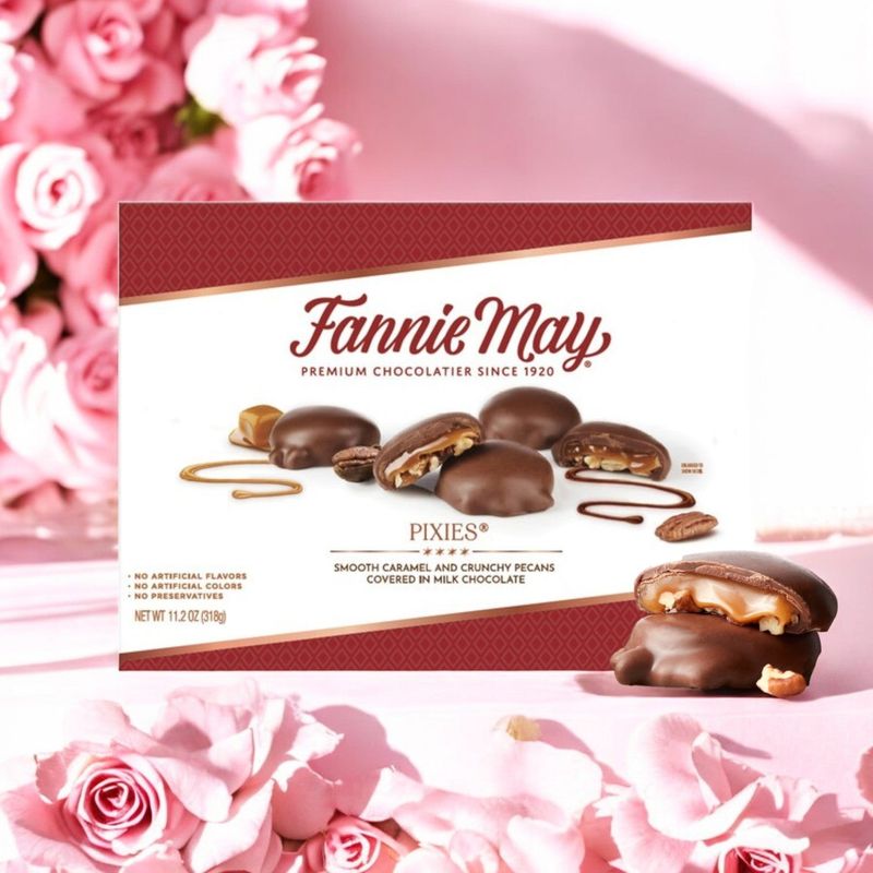 15 Nostalgic Desserts That Took Over Illinois Back In The Day - Decor Hint Fannie May Chocolates