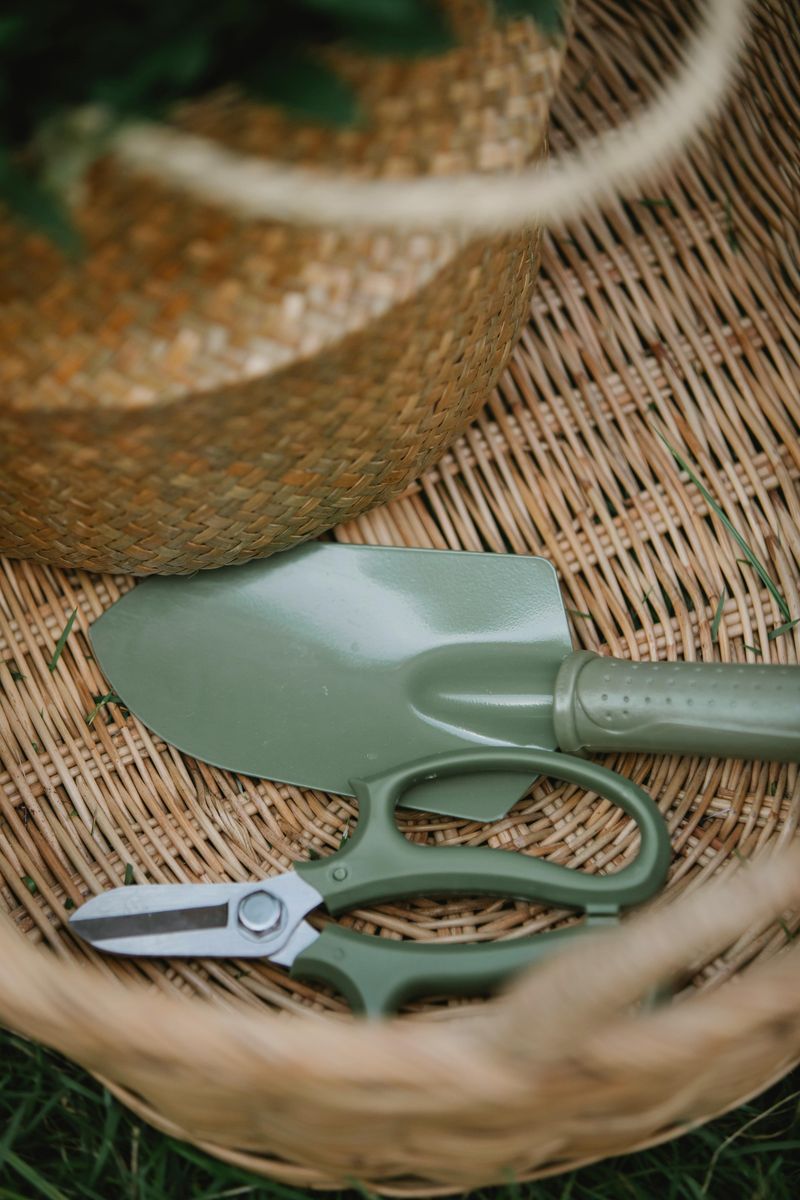 16 Common Garden Mistakes You Can Avoid Or Fix - Decor Hint Neglecting Tool Maintenance
