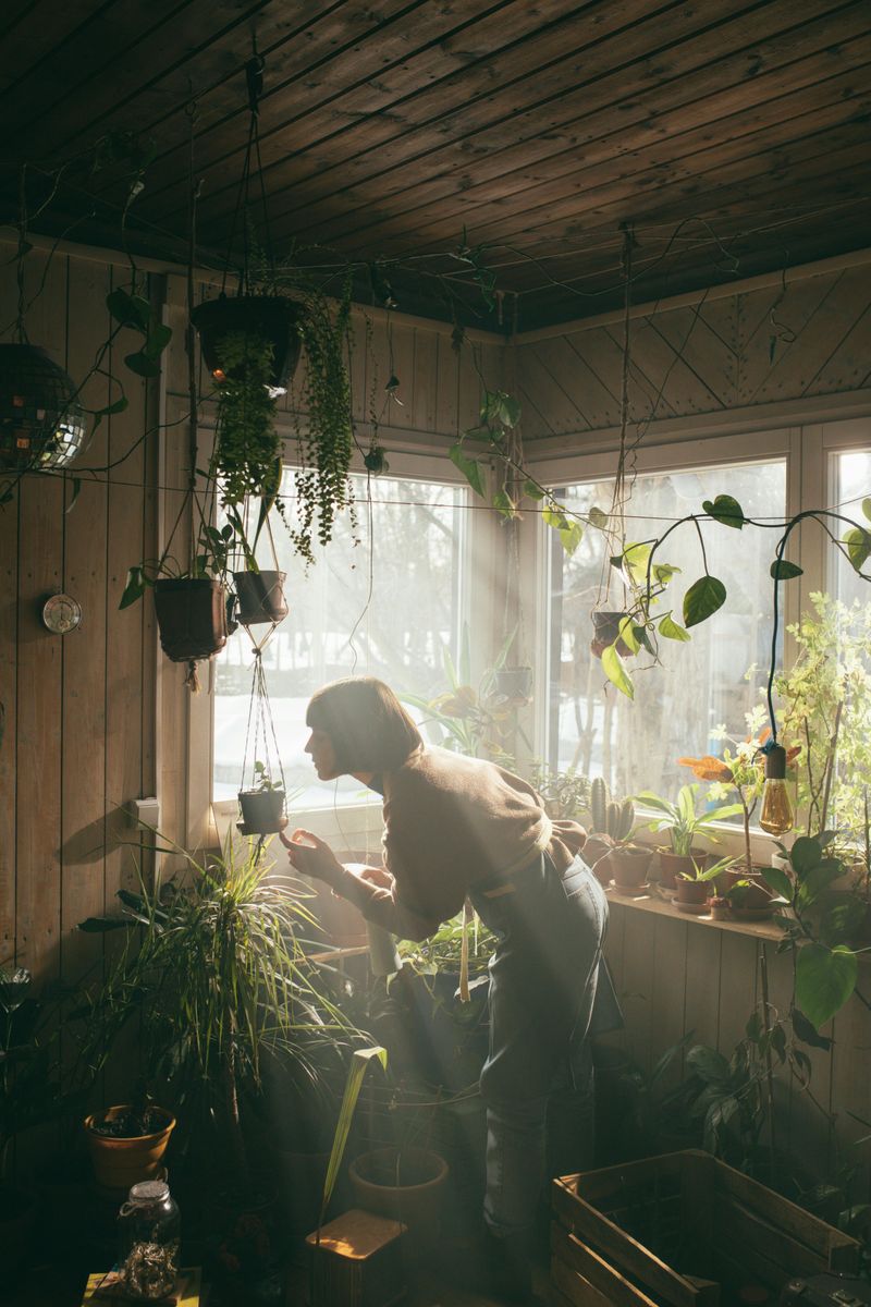 8 Mistakes That Can Undermine Comfort In Garden Rooms - Decor Hint Ignoring Natural Light Considerations