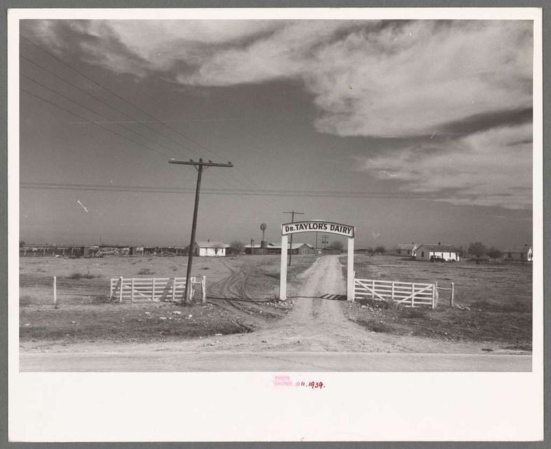 11 Texas Wall Art Pieces That Actually Feel Like Family Heirlooms - Decor Hint Historic Ranch Gate Photographs