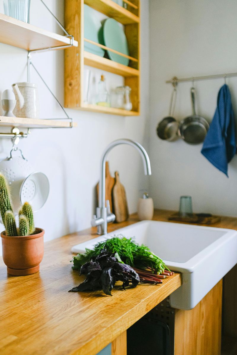 6 Common Kitchen Features That Can Require Costly Maintenance - Decor Hint Farmhouse Sinks
