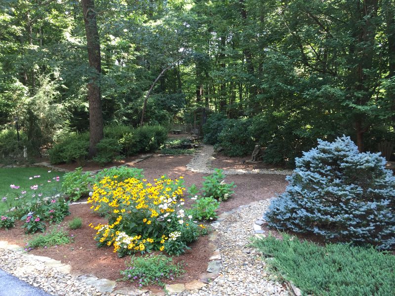 7 North Carolina Home Improvement Trends That Are Surprisingly Affordable - Decor Hint Native Plant Landscaping
