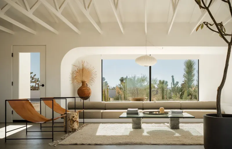 12 Nevada Living Rooms With Desert-Inspired Design - Decor Hint Joshua Tree Shadow Play