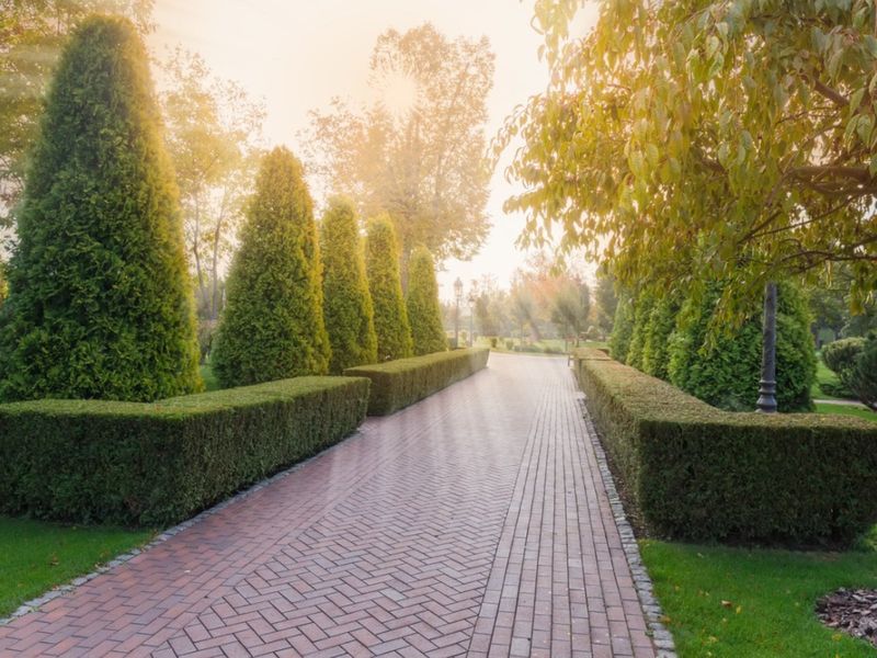 16 Garden Paths In Washington That Capture Park-Like Beauty - Decor Hint Evergreen Embrace