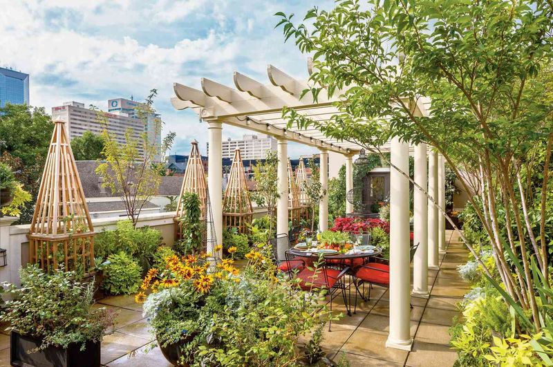 10 Georgia Garden Layouts That Feel Like Outdoor Living Rooms - Decor Hint Urban Rooftop Oasis