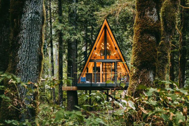 9 Rustic Pennsylvania Cabins With Storybook Charm - Decor Hint Glass-Walled Treehouse in Pine Creek Gorge