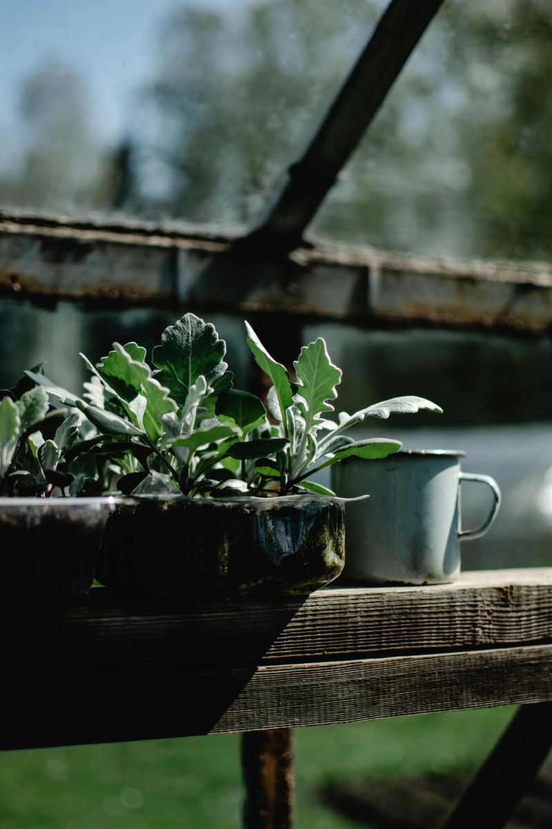 12 Practical Outdoor Kitchen Ideas On A Budget - Decor Hint Potting Bench Transformation
