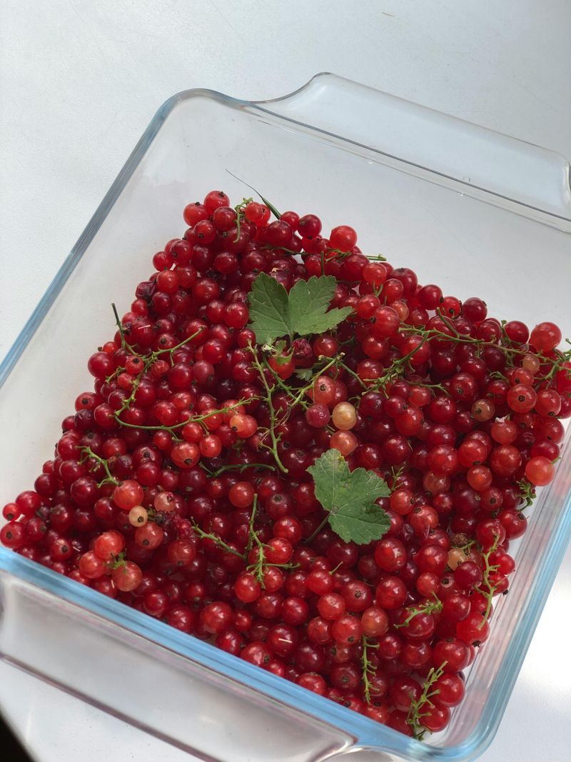 16 Iconic Home Items That Are Older Than You Think - Decor Hint Pyrex Dishes