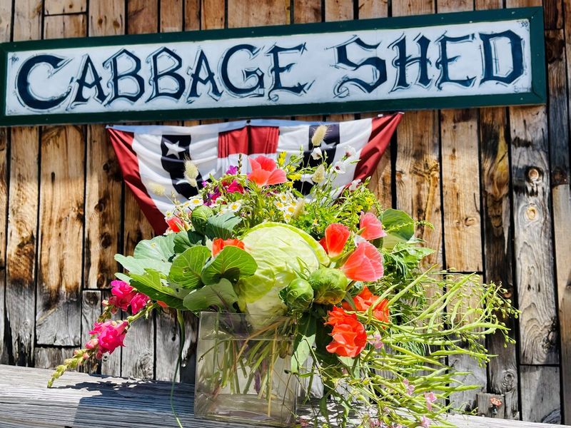 The Cabbage Shed, Betsie Lake / Lake Michigan
