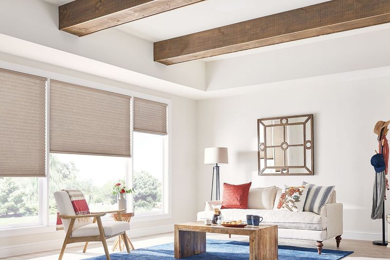 7 North Carolina Home Improvement Trends That Are Surprisingly Affordable - Decor Hint Energy-Efficient Window Treatments