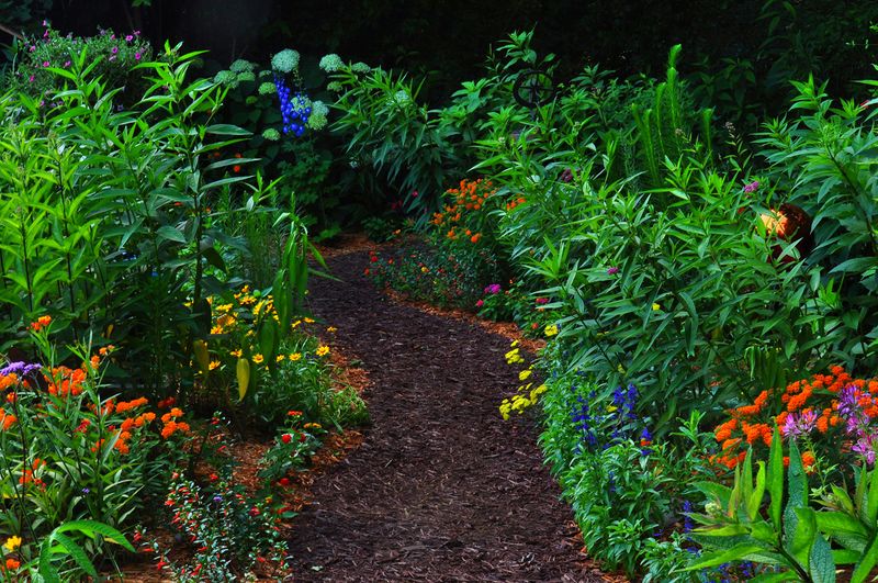 16 Garden Paths In Washington That Capture Park-Like Beauty - Decor Hint Butterfly Bypass