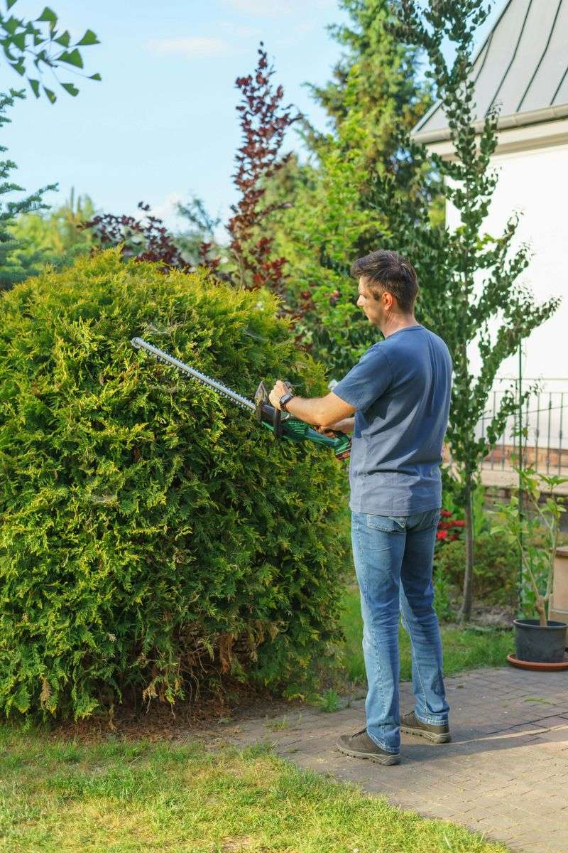 7 Yearly Home Maintenance Jobs That Could Make Life Easier - Decor Hint Pruning Trees and Shrubs