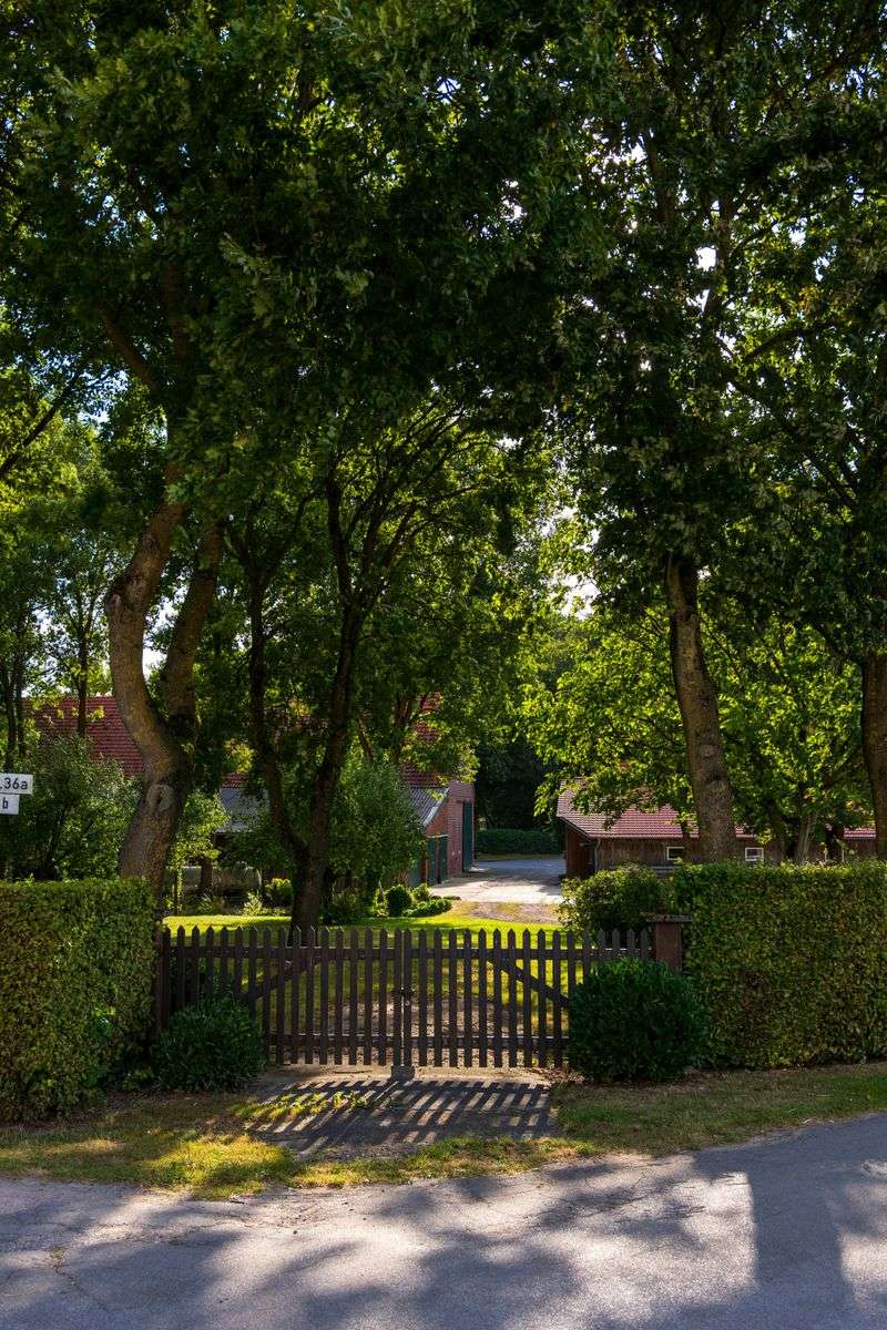 Neatly Trimmed Hedges