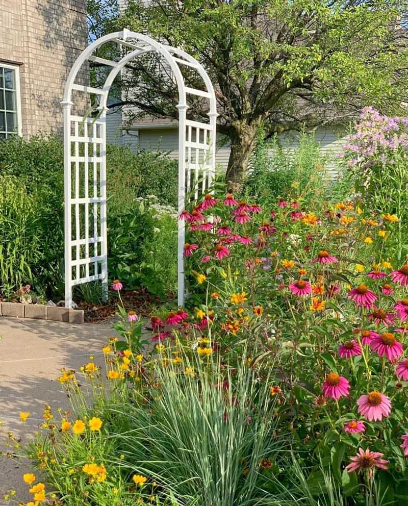 Prairie-Inspired Wildflower Haven